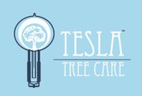Tesla Tree Care